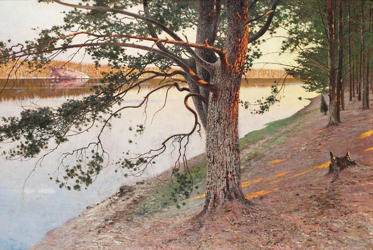 August Hagborg, Evening sun on a pine tree.