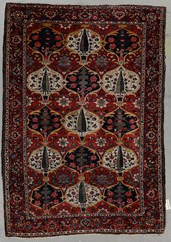 MATTA, semiantik, Bachtiari, ca 205x140 cm.