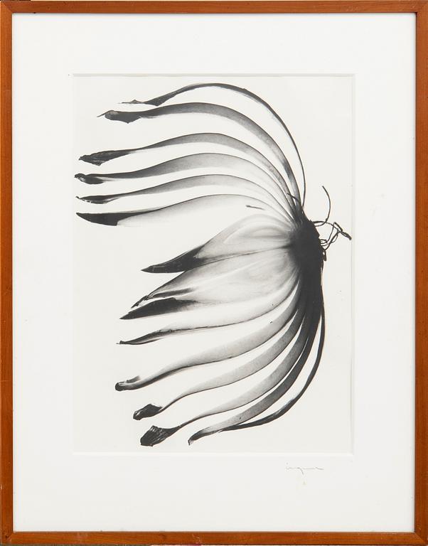 Ingvar Eriksson, photographs 3 pcs Untitled.