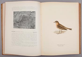 BÖCKER, 3 vol, "Svenska Fåglar", M,W & F von Wright, Stockholm 1927 och 1929.