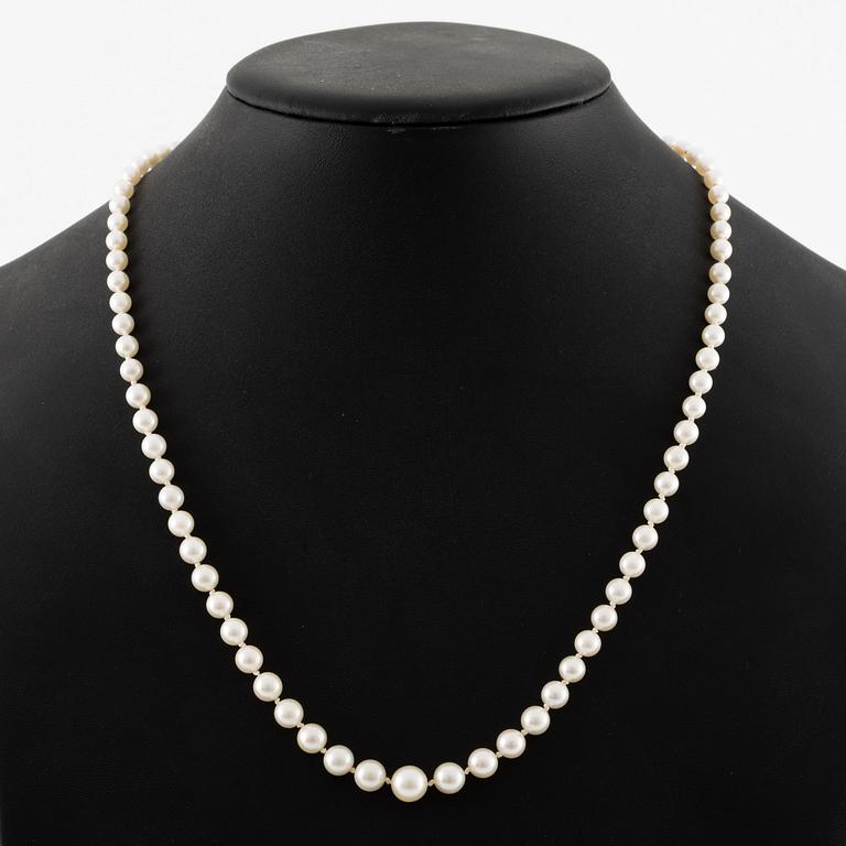 Necklace of cultured pearls, clasp silver.