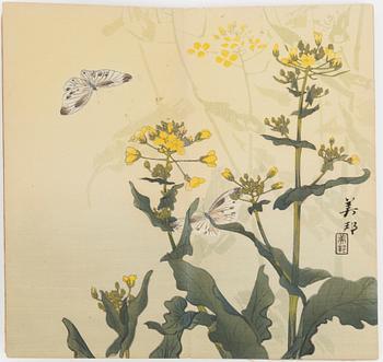 Bihō Takahashi (aktive around 1890-1930), album with 12 woodblock prints, publisher Heikichi Matsuki.