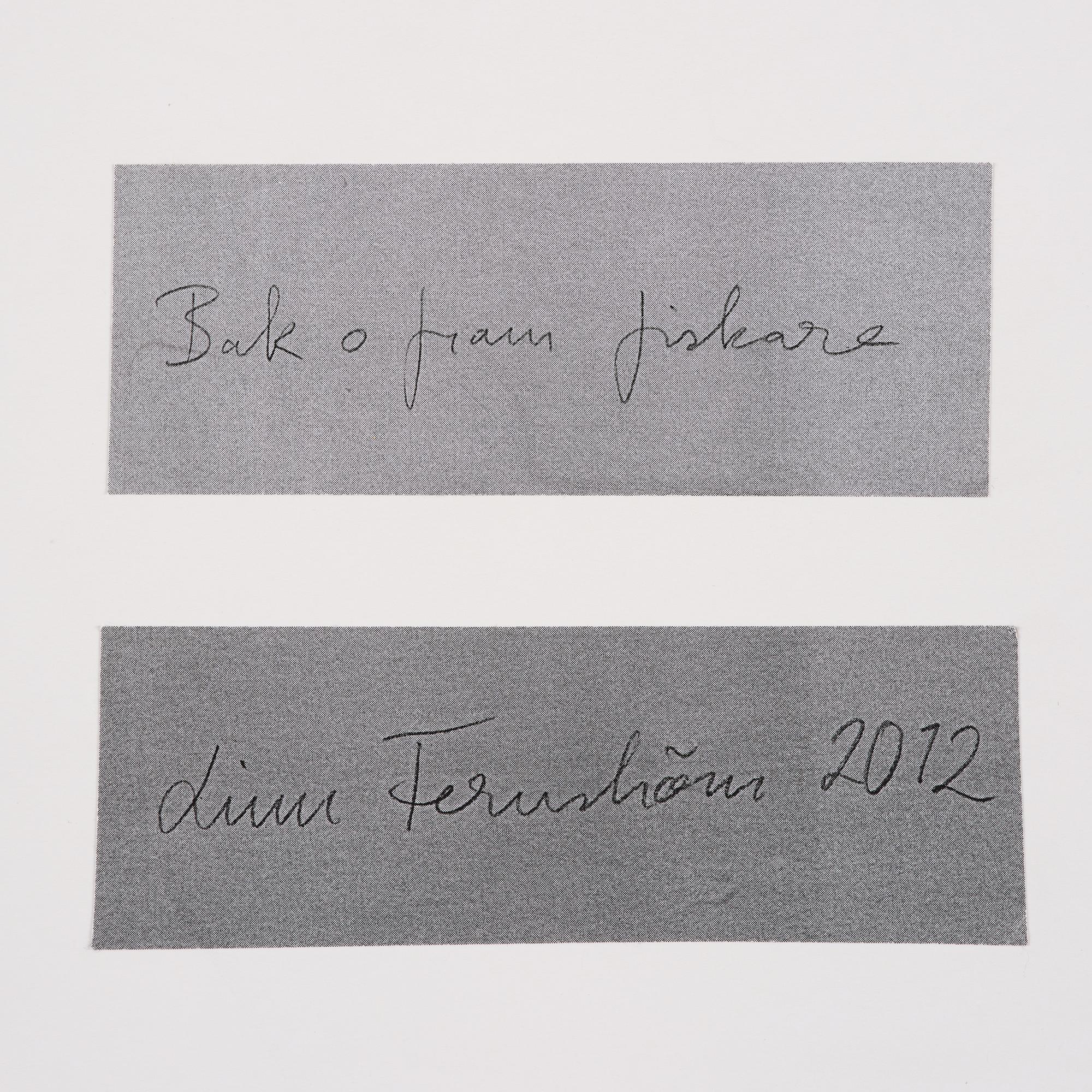 Linn Fernström, "Bak och framfiskare".