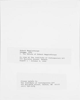 ROBERT MAPPLETHORPE, pressfotografi, silver gelatin på s.k. RC-papper, 1986.