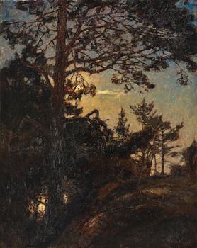 743. Gottfrid Kallstenius, Tallar i skymning.