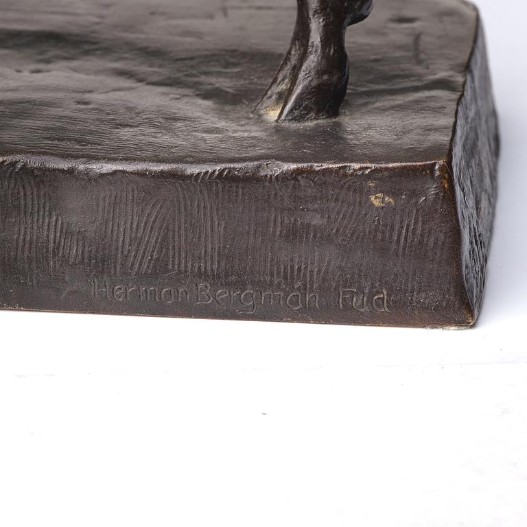 Arvid Knöppel, "Visent".