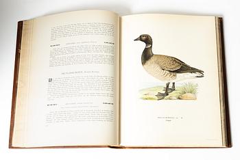 Bröderna von Wright, books, three volumes, 'Svenska fåglar', A. Börtzells tryckeri AB, Stockholm, 1927-29.