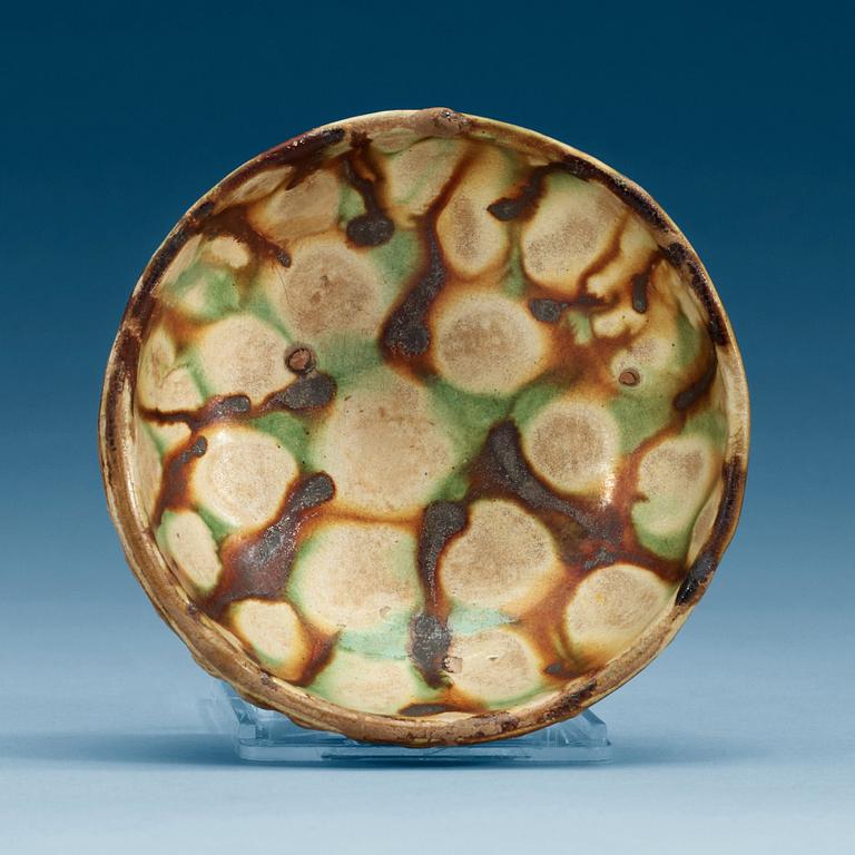 SKÅL, keramik. Tang dynastin (618-907).