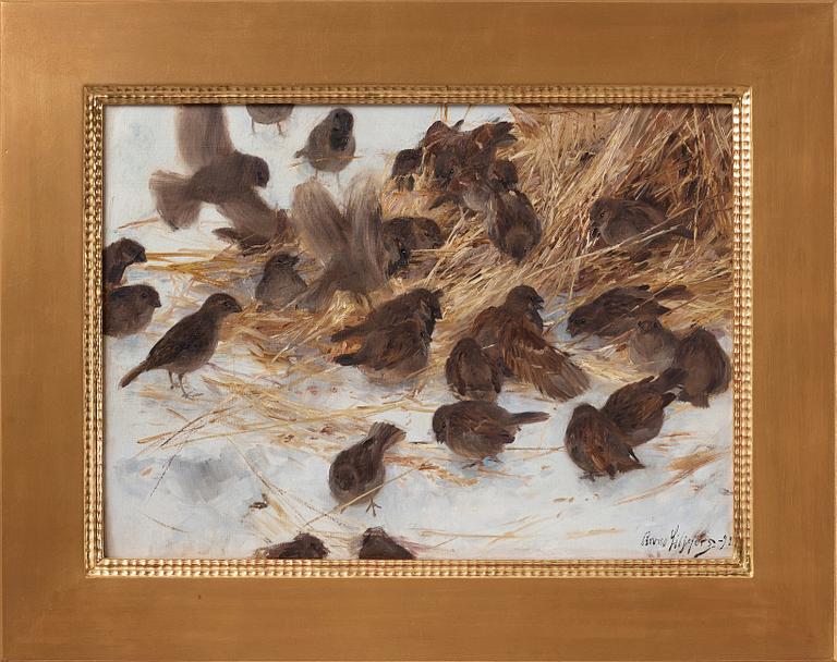 Bruno Liljefors, Sparrows.