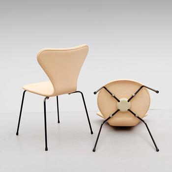 STOLAR, 6 st, "Sjuan", Arne Jacobsen för Fritz Hansen, Danmark, 1900-talets slut.