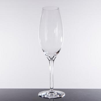 RICHARD JUHLIN, champagneglas, 12 st, "Juhlin", glas, Richard Juhlin, Reijmyre Glasbruk.