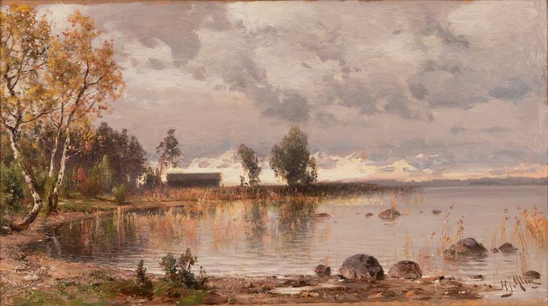 Hjalmar Munsterhjelm, A shore view from Häme.