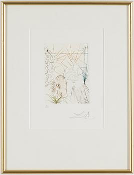 SALVADOR DALÍ,  Coulor-printed drypoint etchings, signed 86/250.