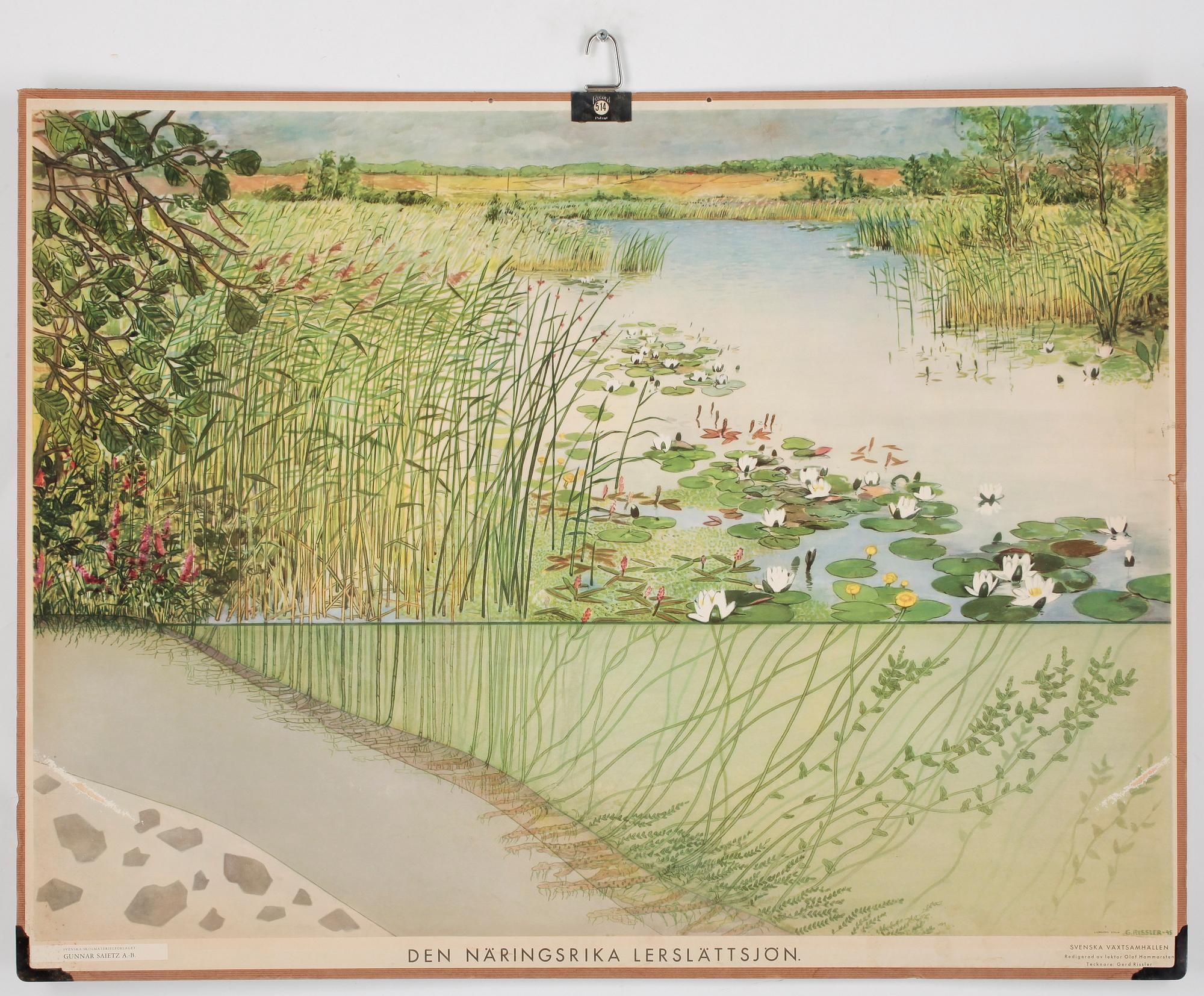 SKOLPLANSCHER, 4 st, 1900-tal.