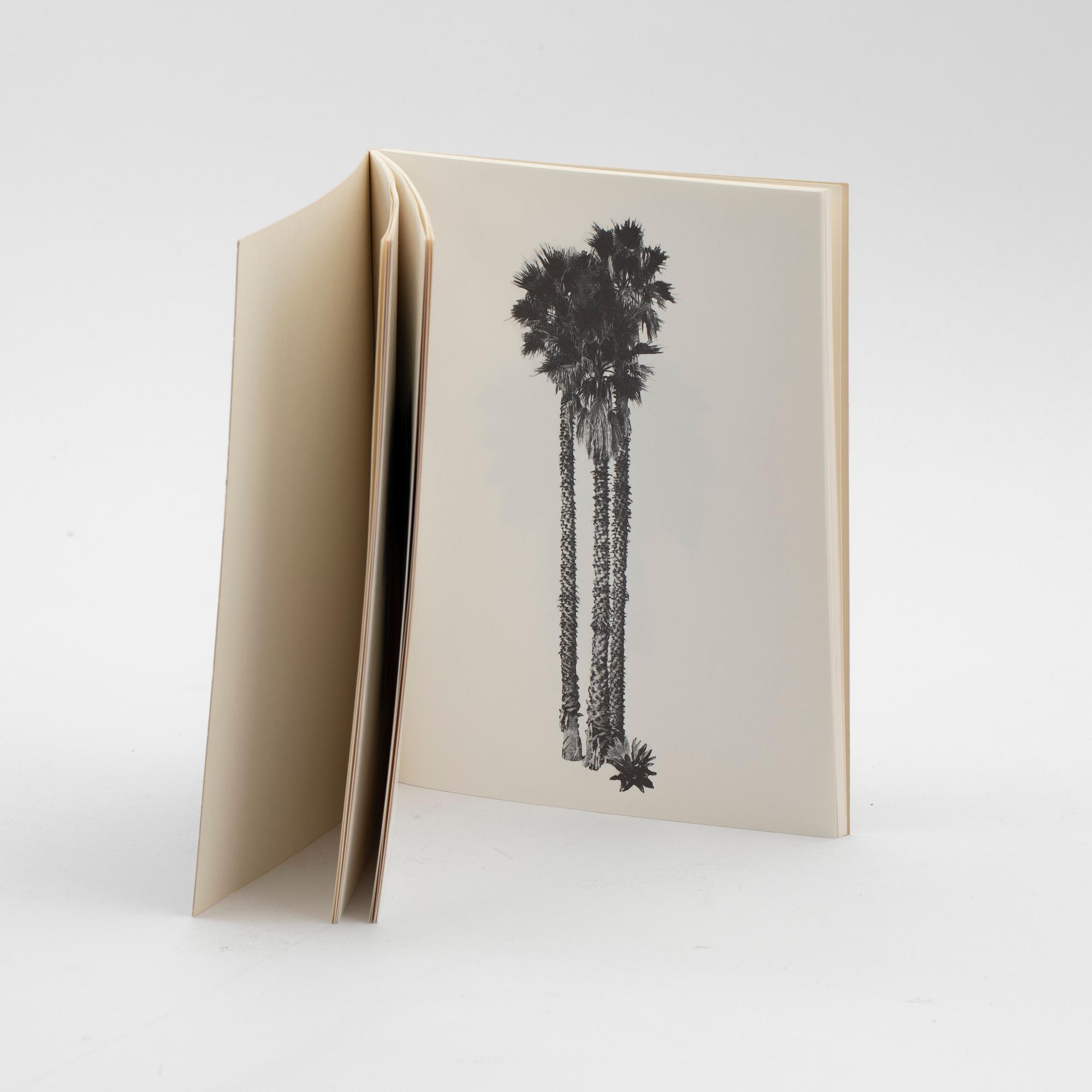 Edward Ruscha, "A few palm trees", 1971.