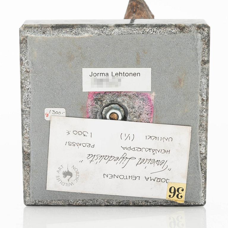Jorma Lehtonen, Dubbelbeckasin.