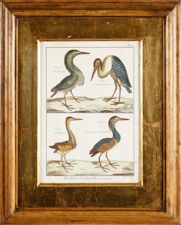 GRAVYRER, 2 st, efter Martinet, kolorerade, 1800-tal.