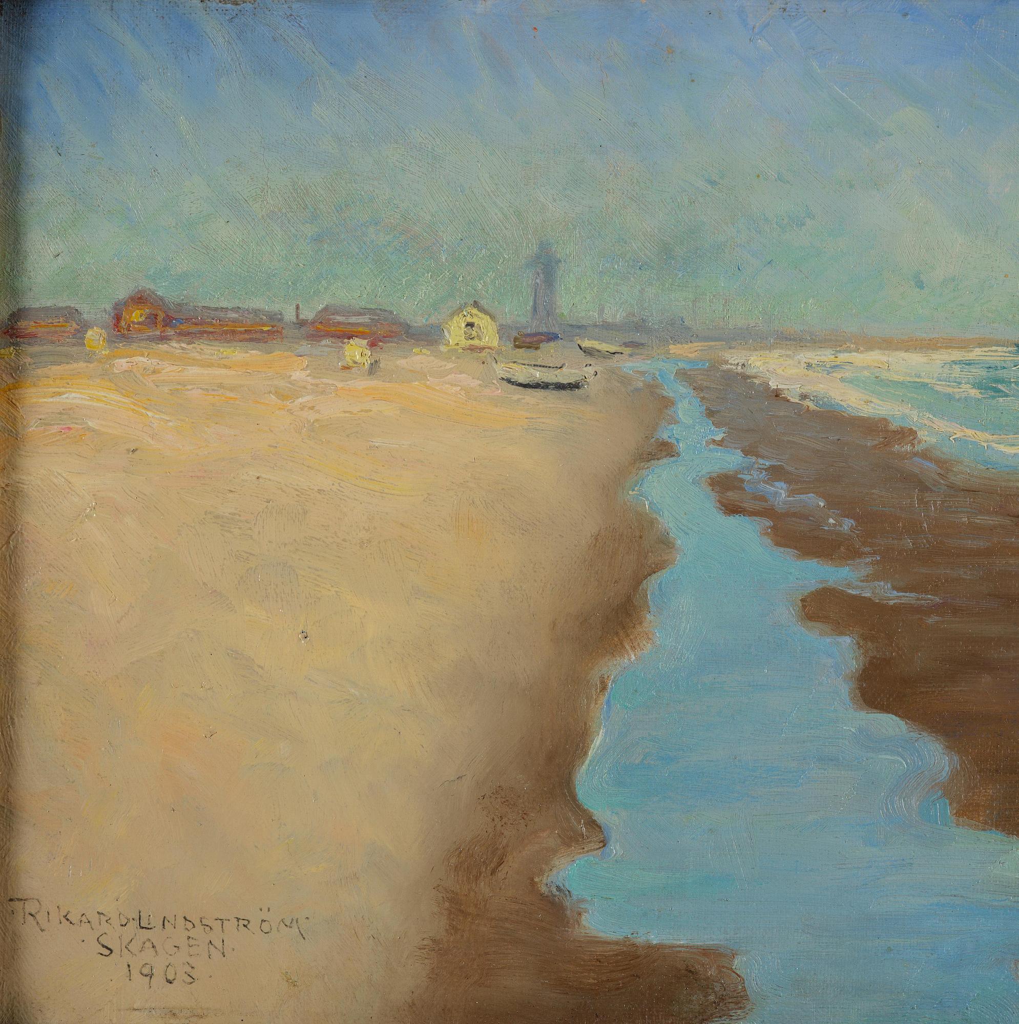 Rikard Lindström, Waves against the Skagen shore.