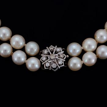 TVÅRADIG PÄRLCOLLIER, , med odlade pärlor.