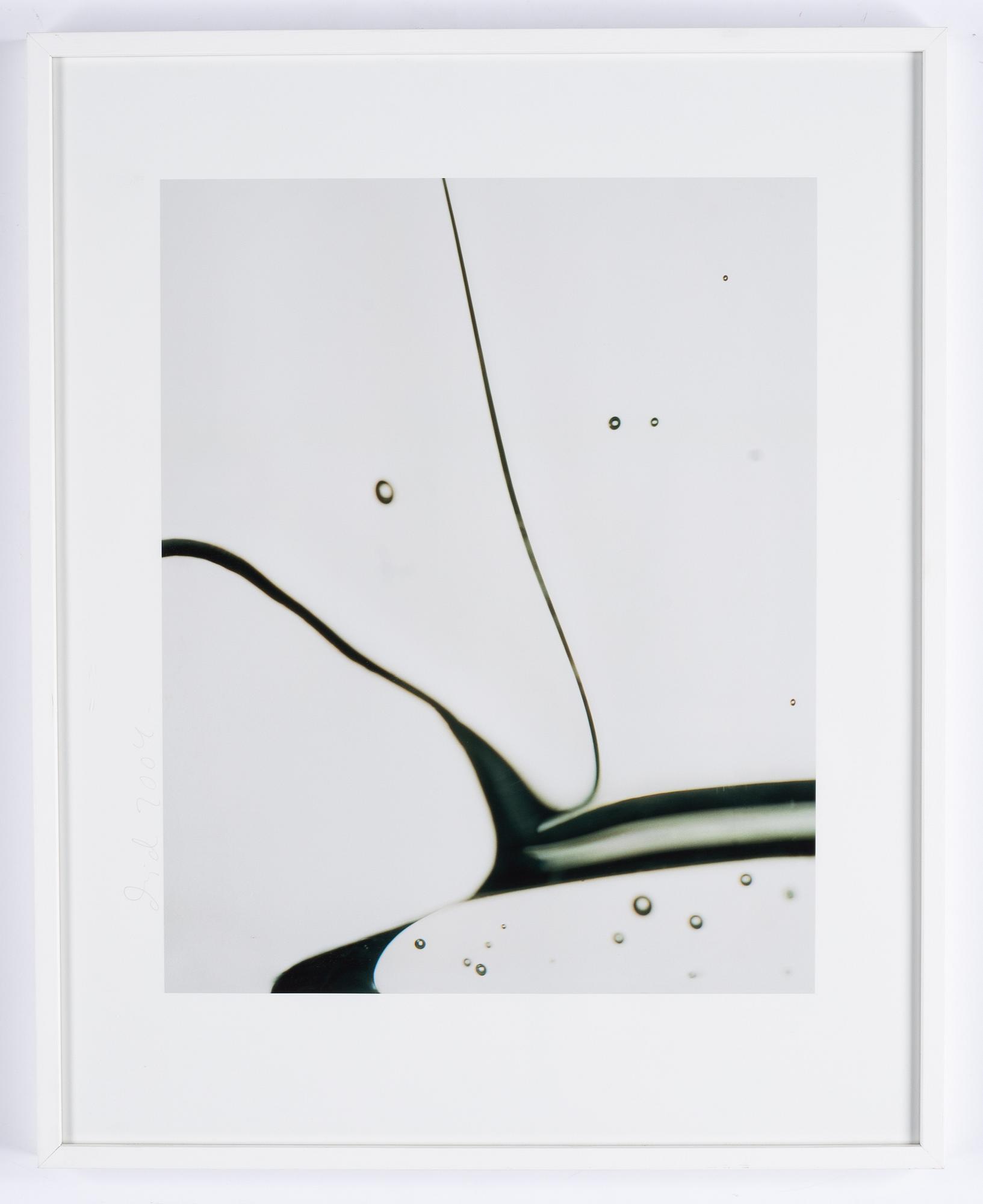 Dawid, pigment print, signed and dated 2004.