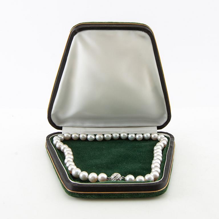 Necklace, 18K white gold and brilliant-cut diamonds and saltwater pearls.