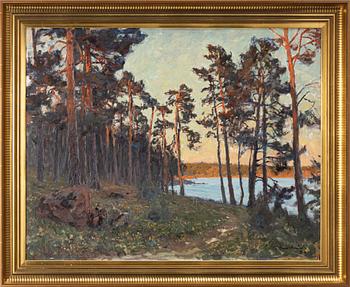 Gottfrid Kallstenius, Sunlit pines.