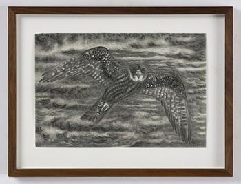 Jeff Olsson, "Funny Bird".