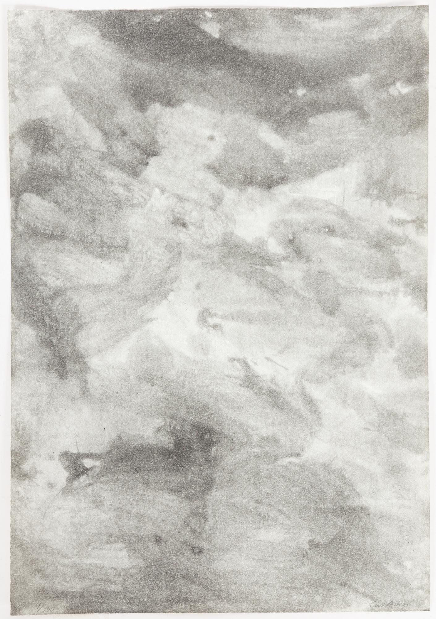 Curt Asker/Wallace Stevens "Elva dikter".