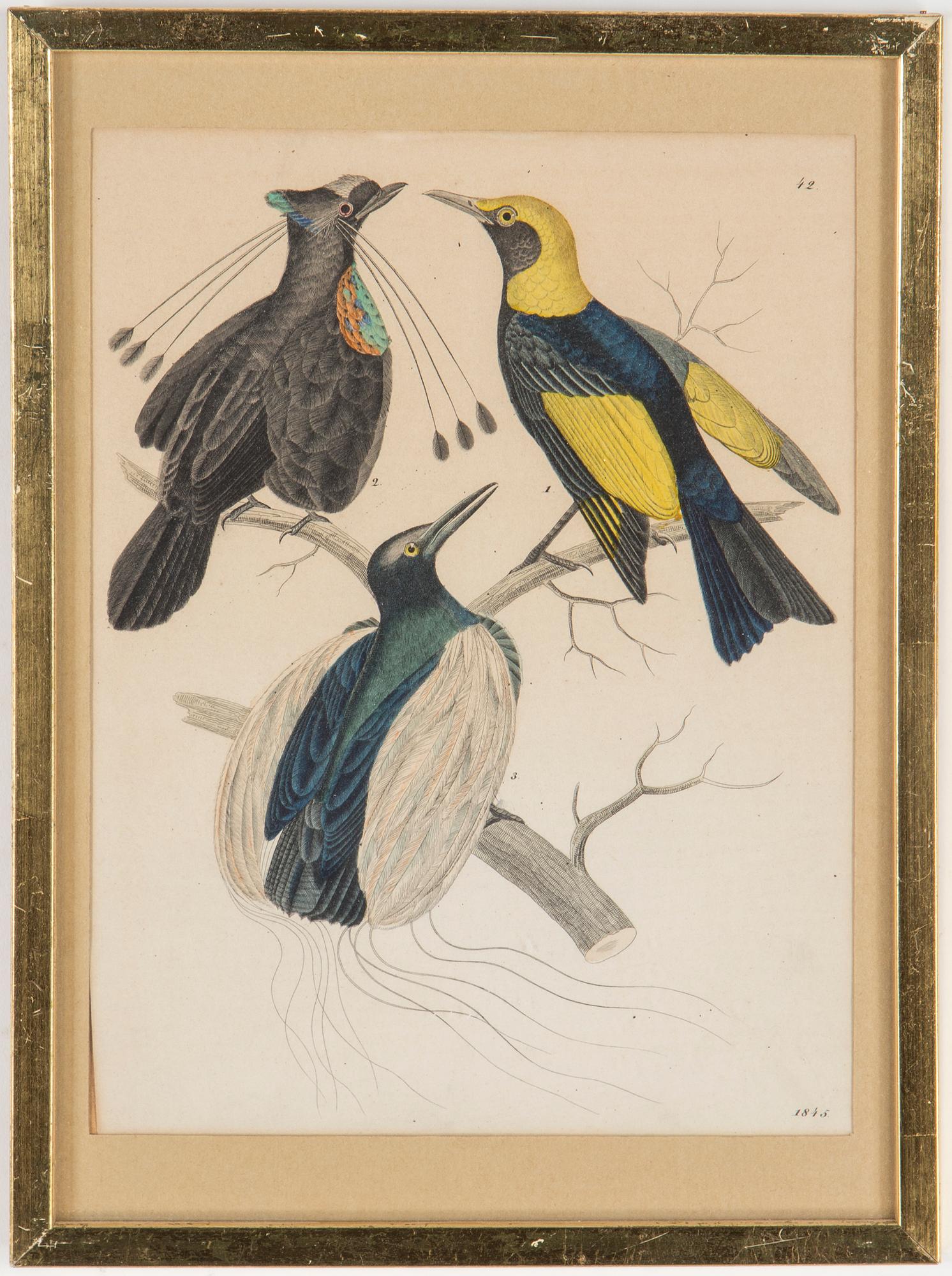 LITOGRAFISKA TRYCK, 4 st,handkolorerade, bl.a. Frankrike och Stuttgart, Tyskland, 1900-talets första hälft.