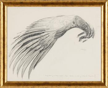 Bruno Liljefors · BRUNO LILJEFORS. Pencil on paper. Authenticated by Dr. Karl Asplund (1890-1978)