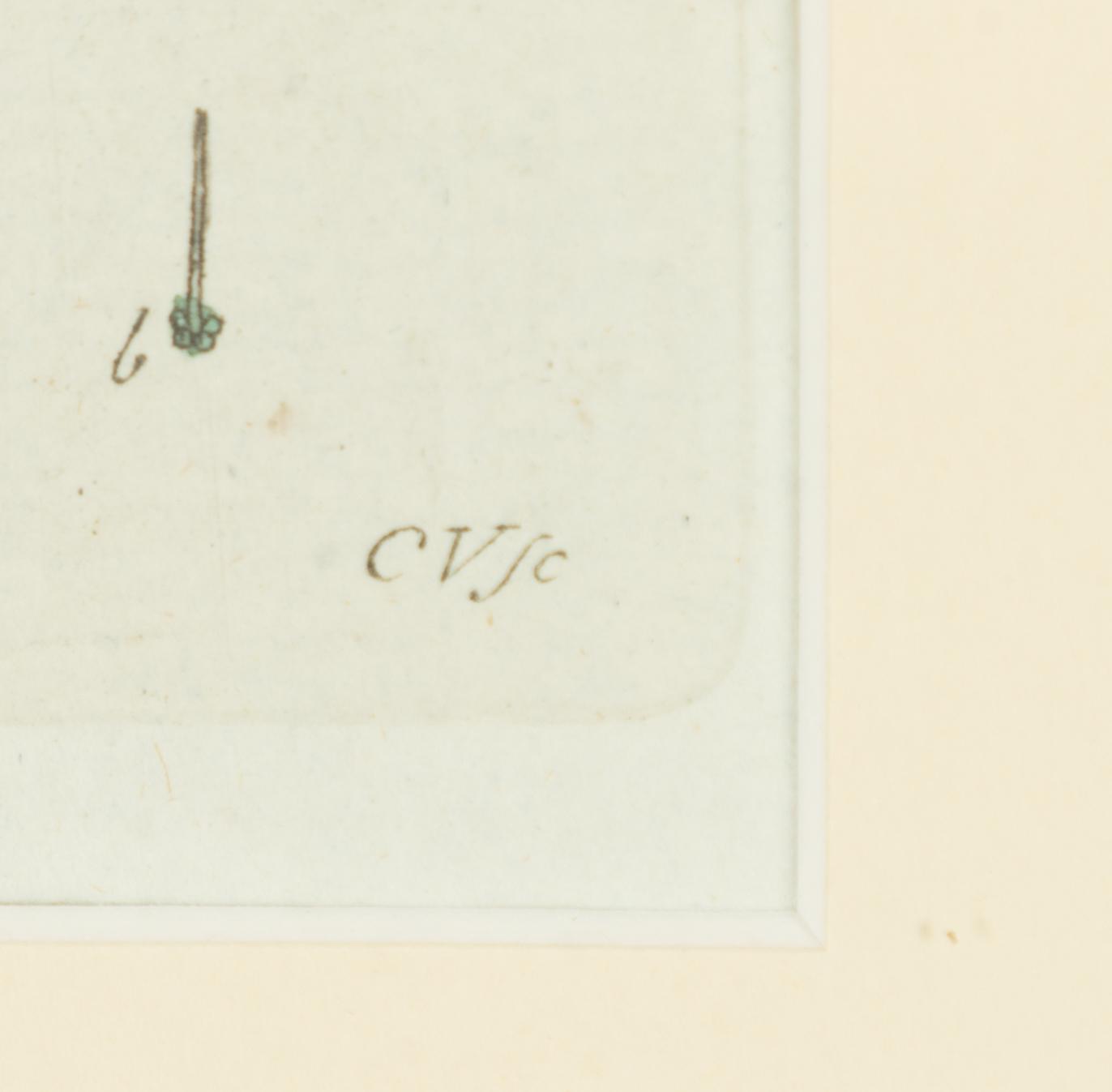 Twelve hand-coloured engravings, J.W. Palmstruch, from 'Svensk Botanik', 1802-1840.