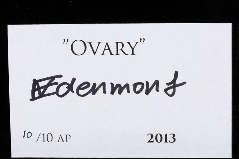 Nathalia Edenmont, "Ovary", 2013.