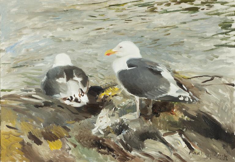 Mosse Stoopendaal, Gulls on a skerry.