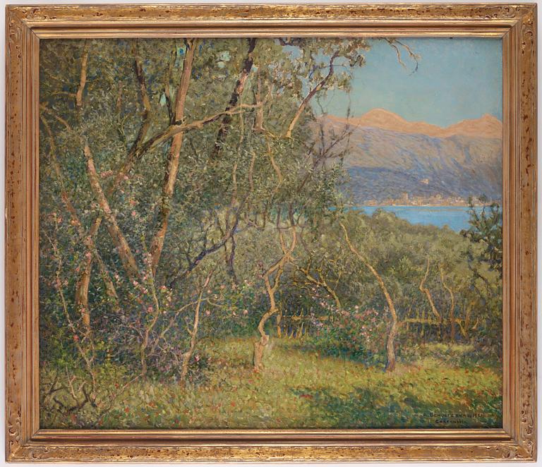 Anshelm Schultzberg, Summer at Lake Como.