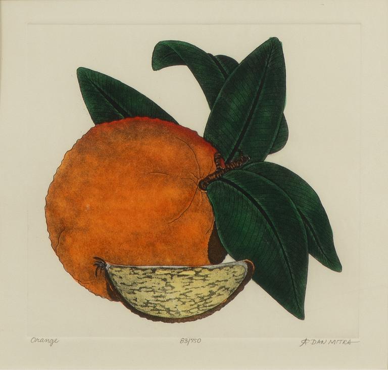 Dan Mitra, a suite of six etchings, framed together.