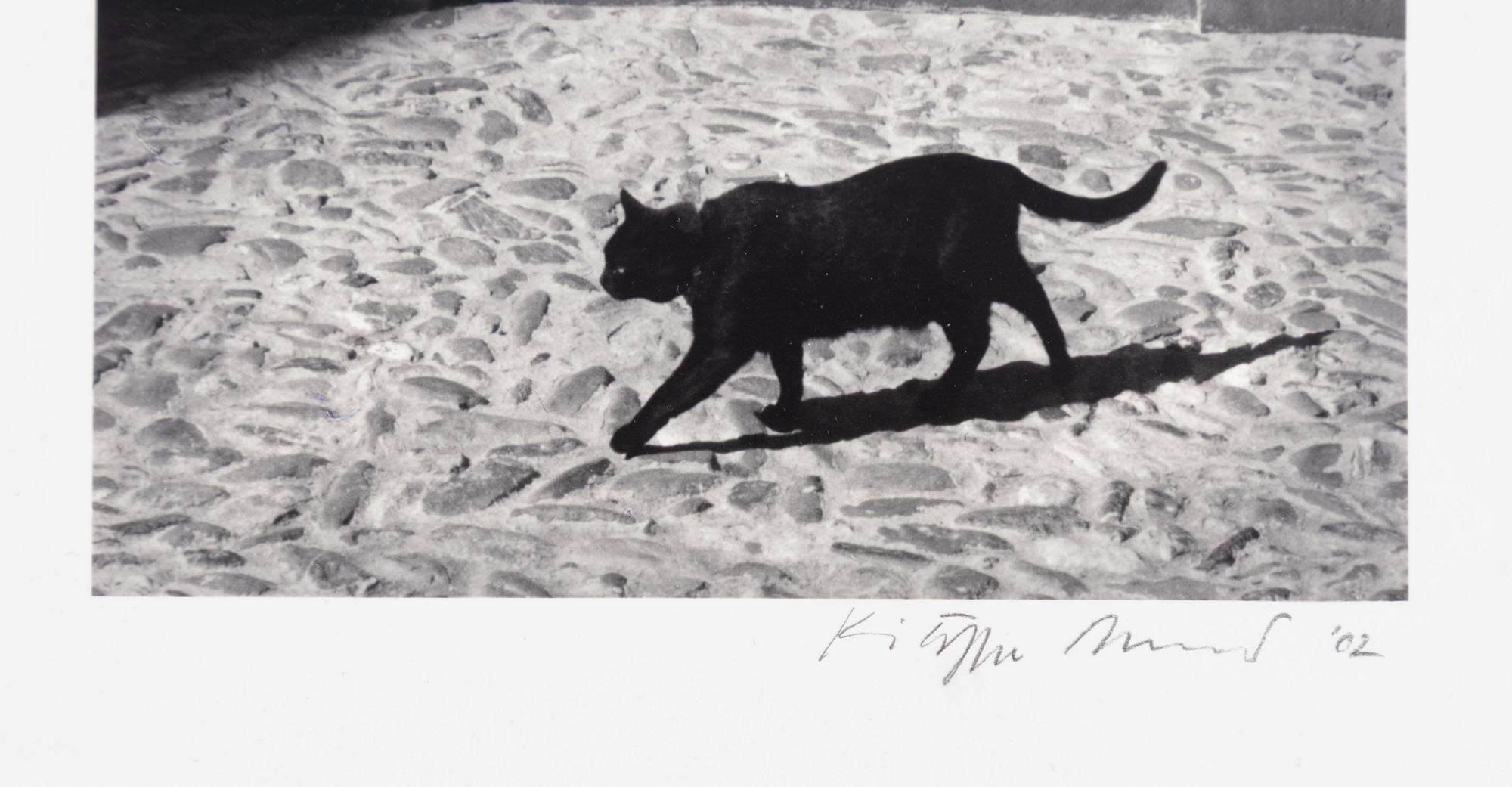 Kristoffer Albrecht, motif from France, 2002.