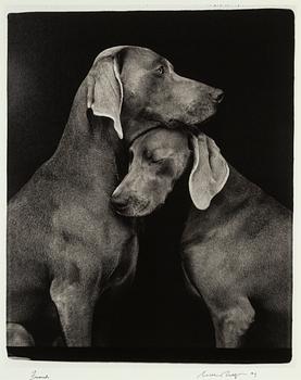 William Wegman, archival pigment print 2009, signed. Numbered 117/1500 verso.