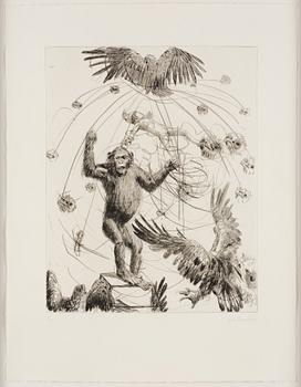 Linn Fernström, "Apursinne".