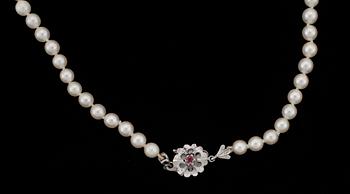 COLLIER, odlade saltvattenspärlor, lås 18k vitguld med röd sten.