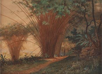 789. Michel-Jean Cazabon, Figurer på stig med bambuträd, Trinidad.