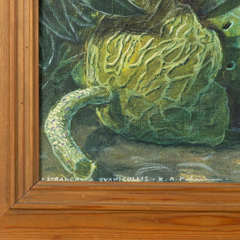 Karl Axel Pehrson, "Strangalia Cyanicolis".