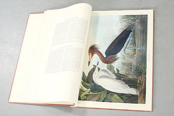 The book "The Birds of America", volume II, by John James Audubon, numbered 178/500, 1973.