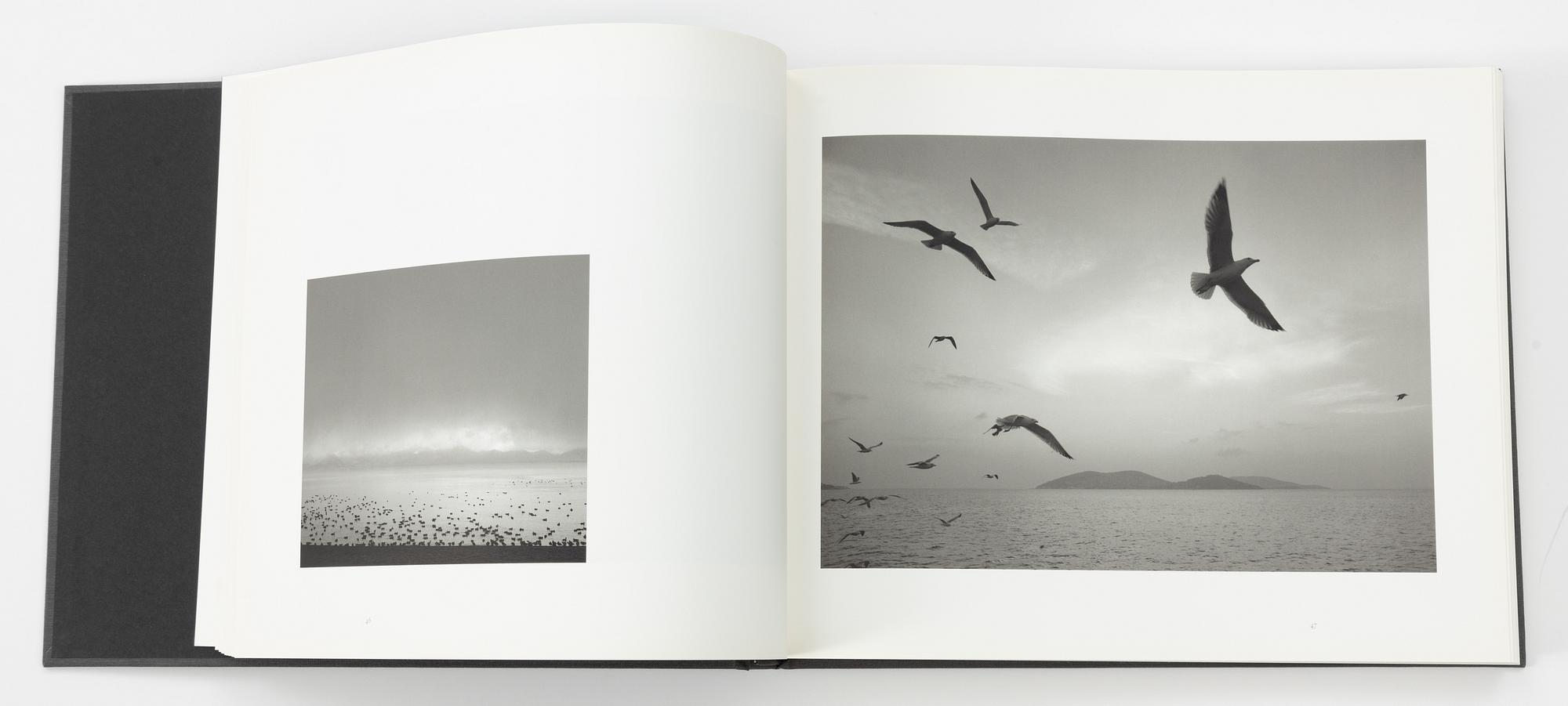 Pentti Sammallahti, "Täällä kaukana".