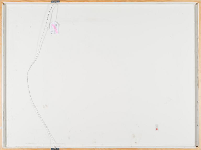 NANDOR MIKOLA, BIRCHES.