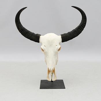 SKULPTUR, 2000-tal.