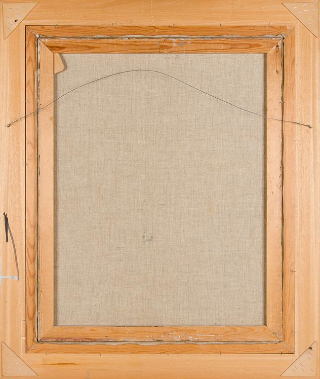 Aares Salli, Vinterlandskap.