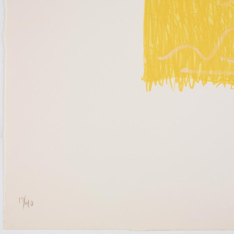 Jasper Johns, "Figure 6", from "Color Numeral Series".