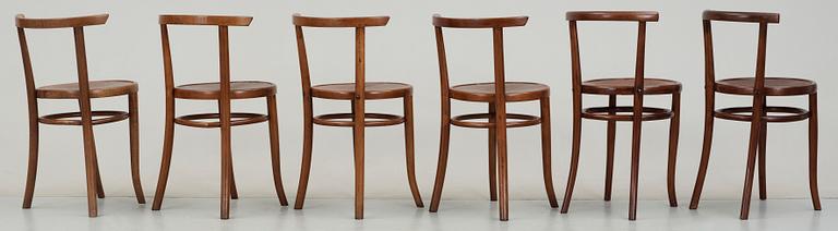 STOLAR, 6st, Thonet, 1900-talets andra hälft.
