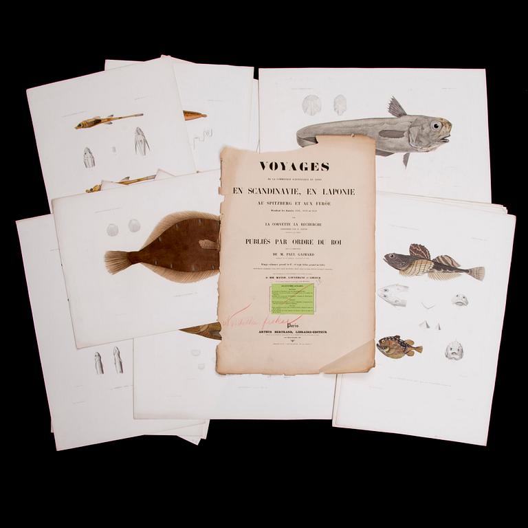 KROMOLITOGRAFIER, 20 st, 1800-talets första hälft.