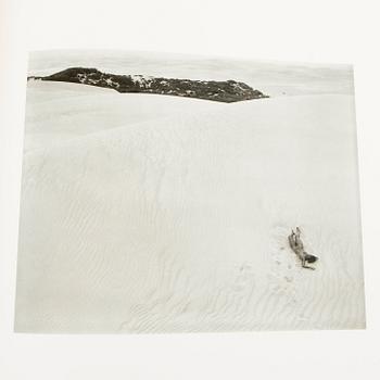 Steve Crist bok "Edward Weston one hundred twenty-five Photographs".